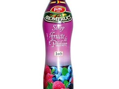 Sirop Aromfruct Fructe de Padure 700ml Fares